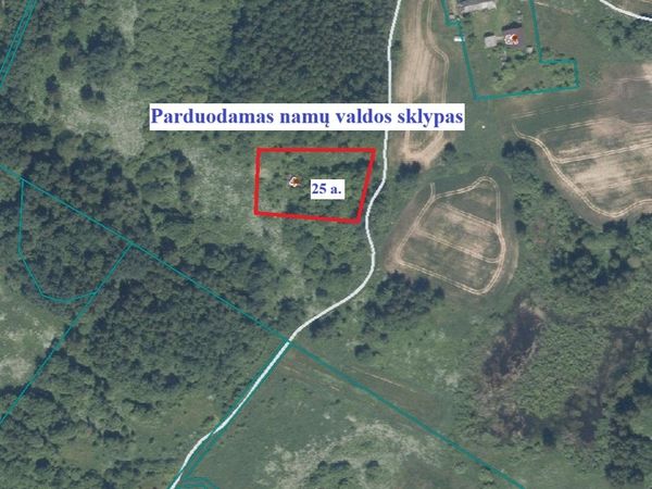 Kaišiadorių r. sav., Kazokai