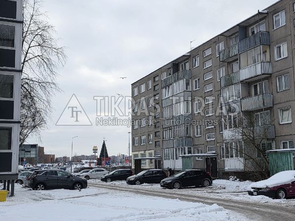 Klaipėda, Žardininkai