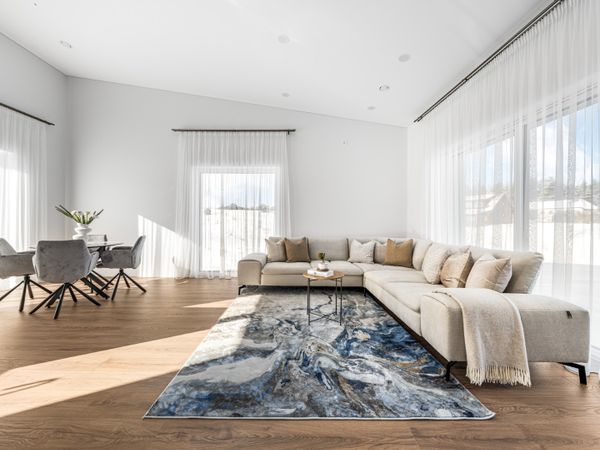 Trakų r. sav., Trakai