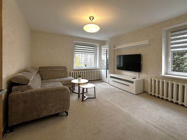 Panevėžys, Pilėnai