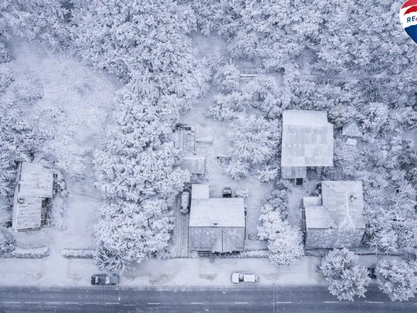 Kaunas, Žaliakalnis