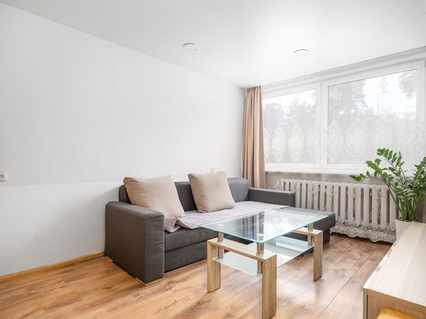 Vilnius, Naujamiestis