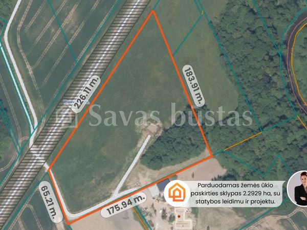 Kaišiadorių r. sav., Pavuolis