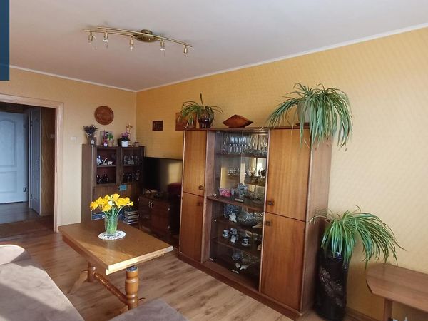 Vilkaviškio r. sav., Vilkaviškis