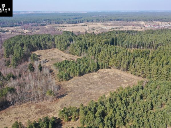 Vilniaus r. sav., Šinkalaukis