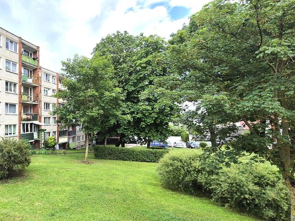 Kėdainių r. sav., Kėdainiai