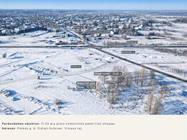 Vilniaus r. sav., Didieji Gulbinai