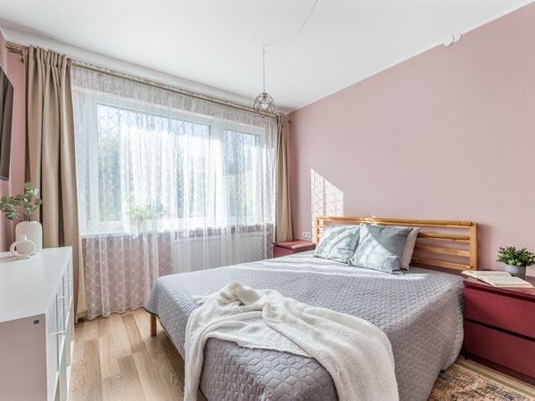 Vilnius, Šnipiškės