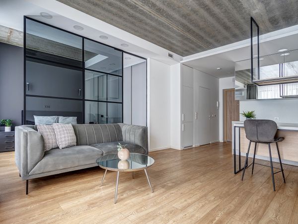 Vilnius, Šnipiškės