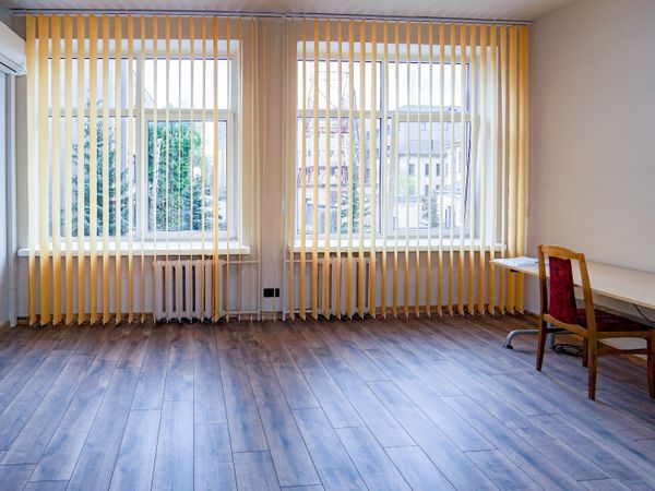 Panevėžys, Centras