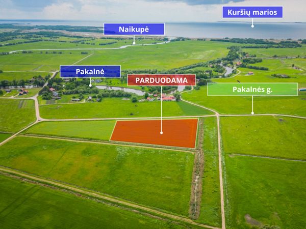 Šilutės r. sav., Pakalnė