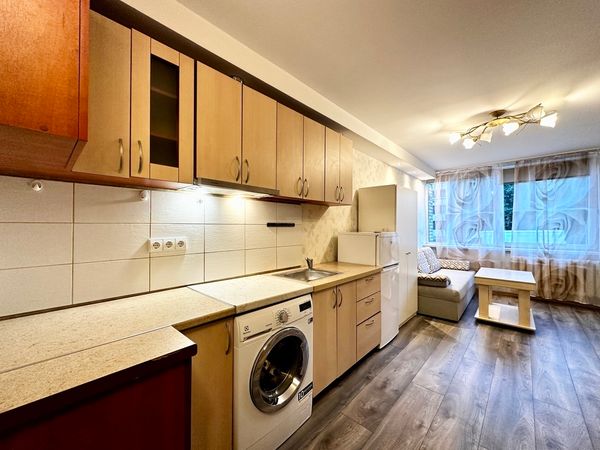 Vilnius, Naujamiestis