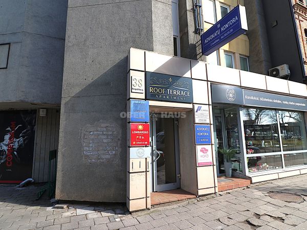 Panevėžys, Centras