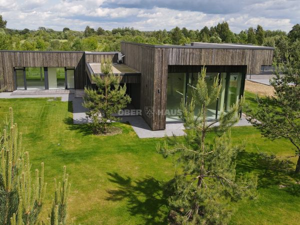 Panevėžio r. sav., Vyčiai