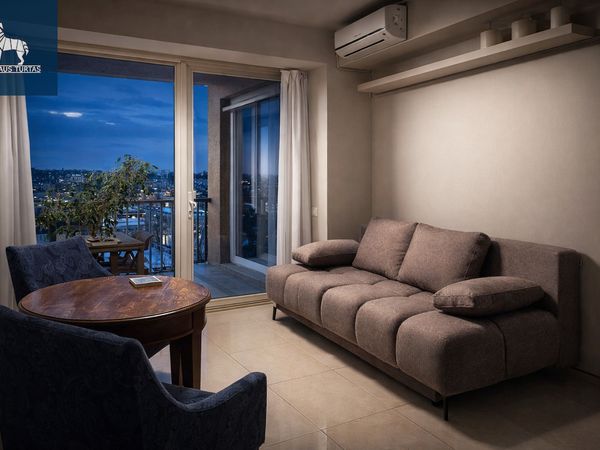 Vilnius, Šnipiškės