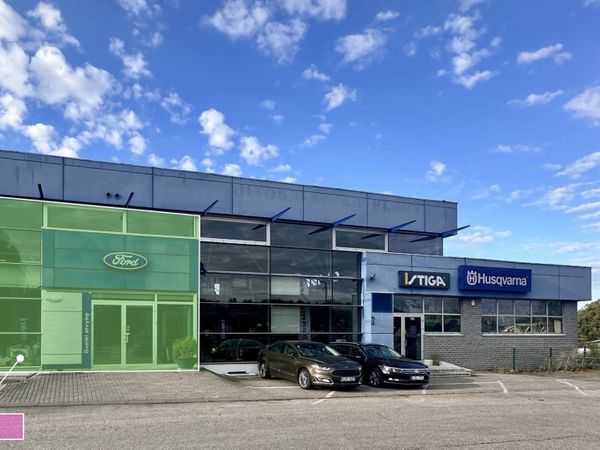 Alytus, Pirmas Alytus