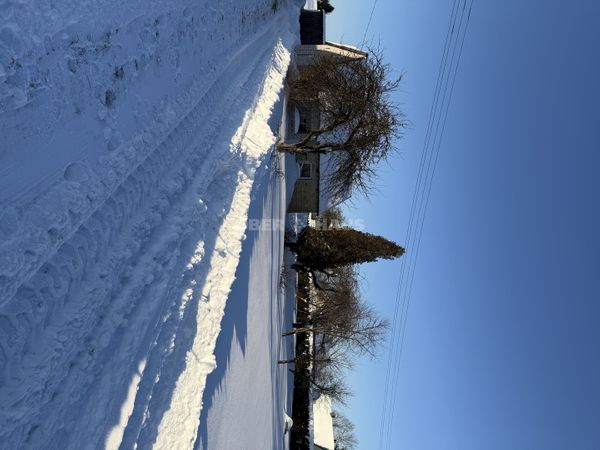 Kelmės r. sav., Naudvaris