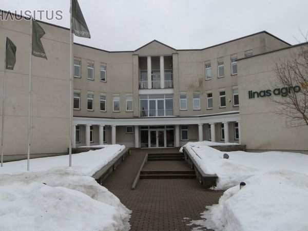 Panevėžys, Centras