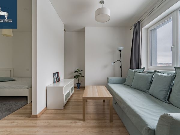 Vilnius, Šnipiškės