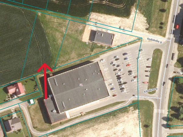 Kėdainių r. sav., Janušava