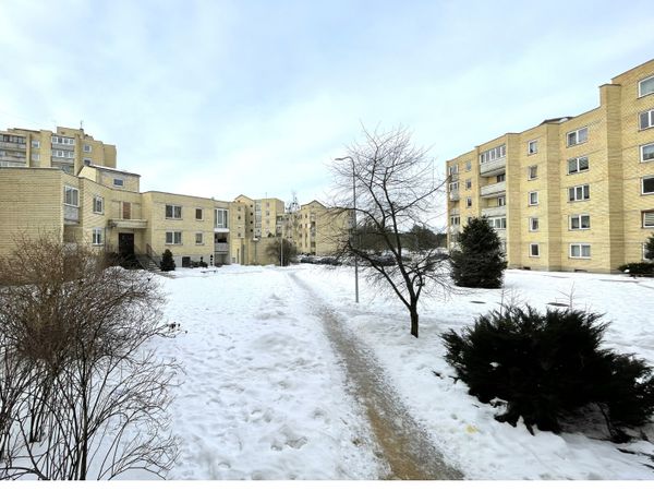 Druskininkų sav., Druskininkai