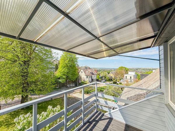 Kaunas, Žaliakalnis