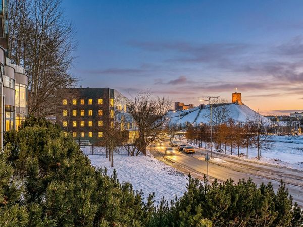 Vilnius, Šnipiškės