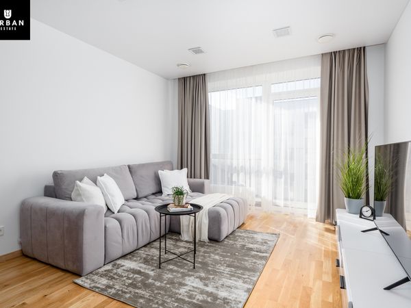 Vilnius, Šnipiškės