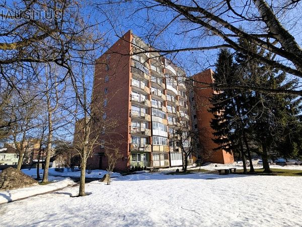 Panevėžys, Žemaičiai