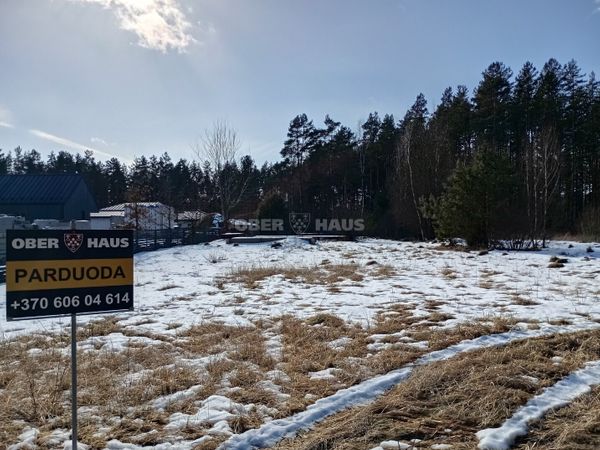 Druskininkų sav., Naujasodė