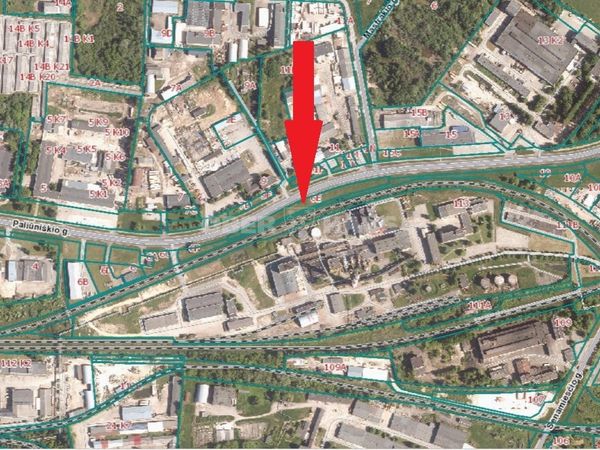 Panevėžys, Rožės