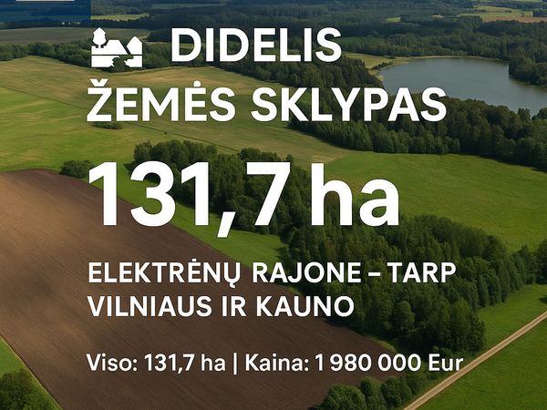 Elektrėnų sav., Elektrėnai