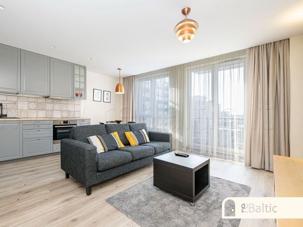 Vilnius, Naujamiestis