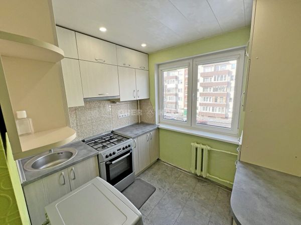 Panevėžys, Tulpės