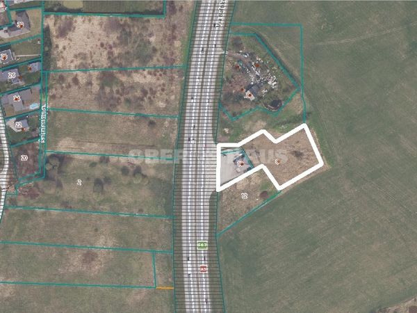 Kauno r. sav., Akademija