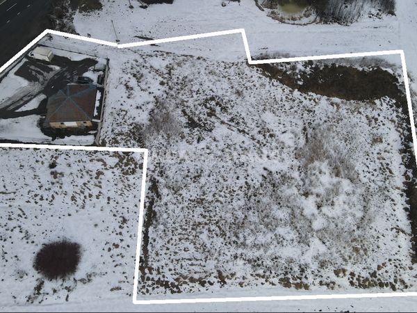 Kauno r. sav., Akademija