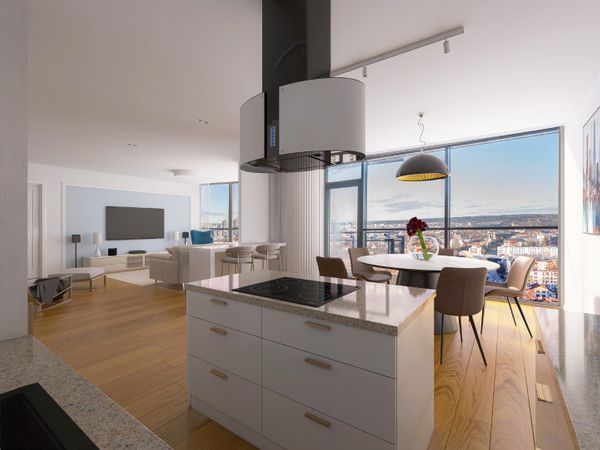 Vilnius, Naujamiestis