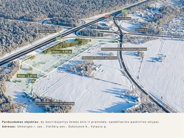 Ukmergės r. sav., Dukstyna