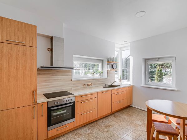 Vilniaus r. sav., Didžioji Riešė