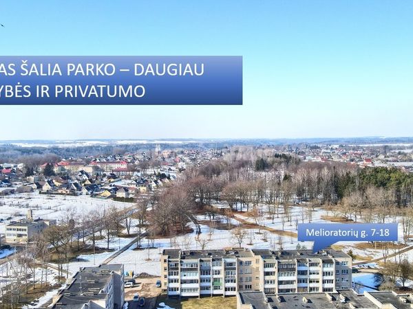 Raseinių r. sav., Ariogala