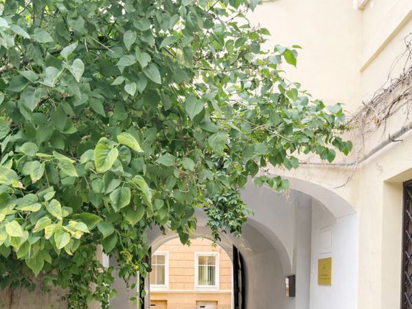 Vilnius, Senamiestis