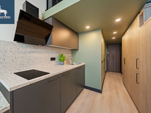 Vilnius, Naujamiestis