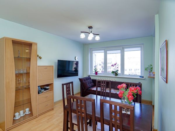 Panevėžys, Klaipėda