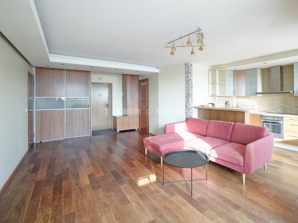 Vilnius, Naujamiestis