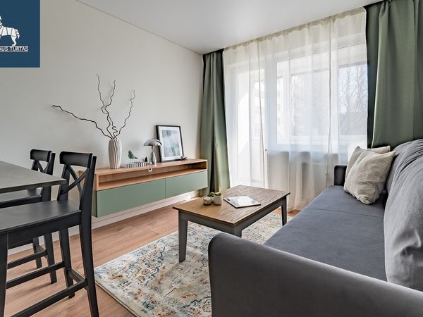 Vilnius, Šnipiškės