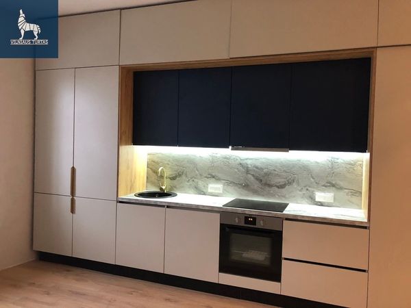 Vilnius, Šnipiškės