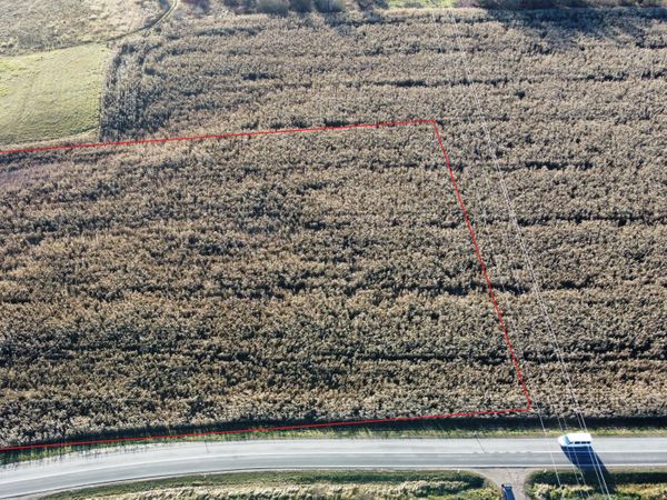 Kauno r. sav., Rokeliai