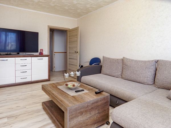 Panevėžys, Tulpės