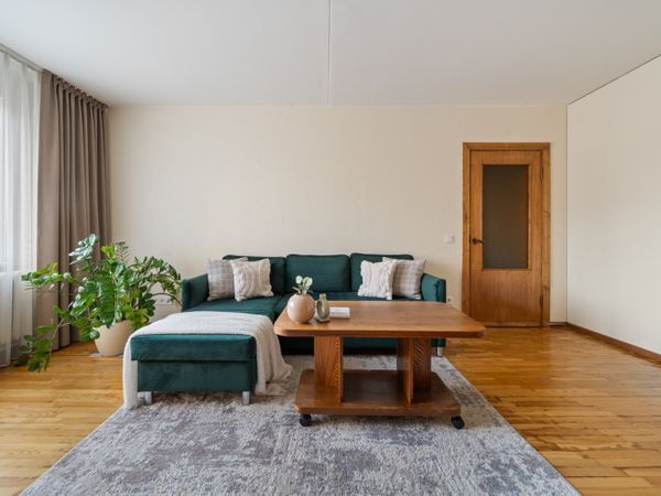 Vilnius, Šnipiškės