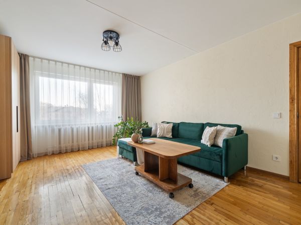 Vilnius, Šnipiškės